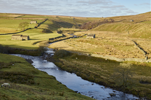 Image of Yorkshire Dales