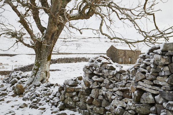 Image of Yorkshire Dales