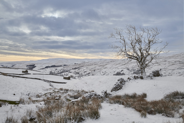 Image of Yorkshire Dales