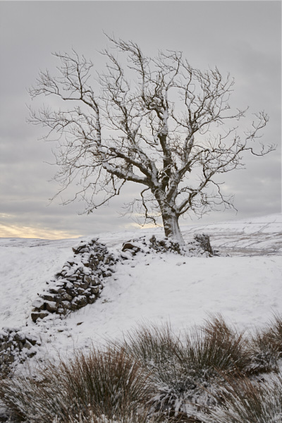 Image of Yorkshire Dales