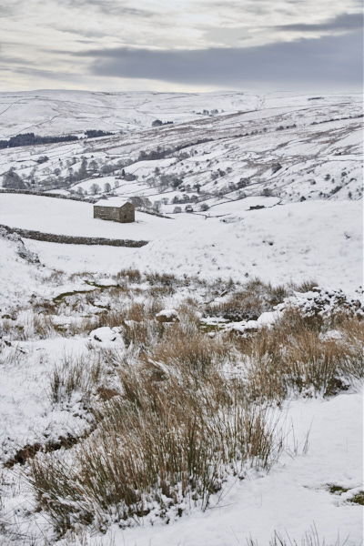 Image of Yorkshire Dales