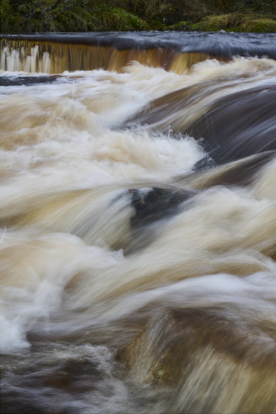 Image of Yorkshire Water