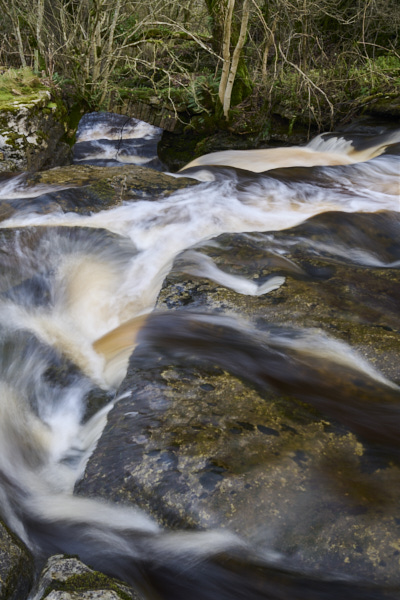 Image of Yorkshire Water