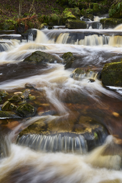 Image of Yorkshire Water