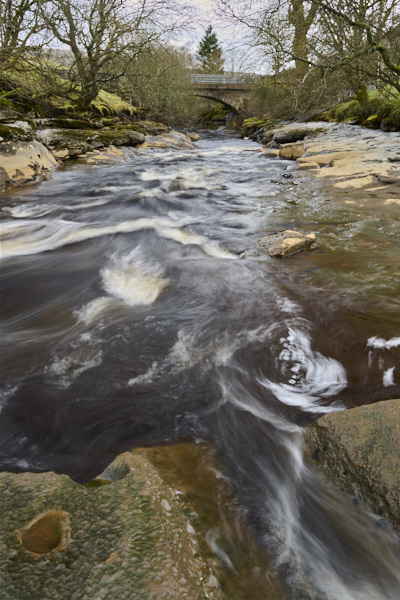 Image of Yorkshire Water