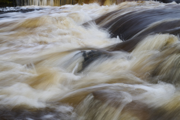Image of Yorkshire Water