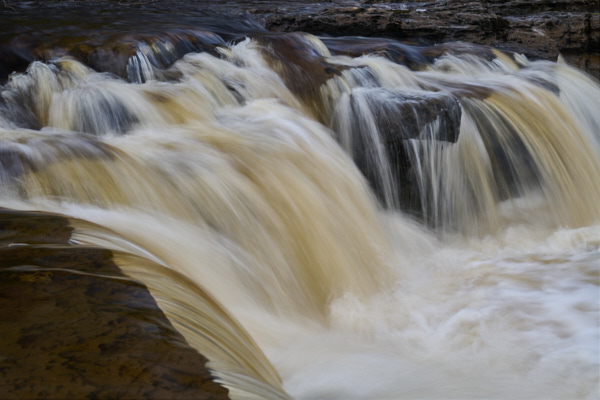 Image of Yorkshire Water