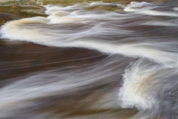 Image of Yorkshire Water
