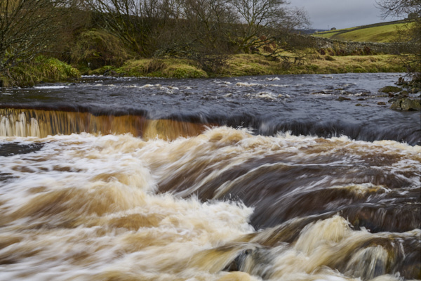 Image of Yorkshire Water