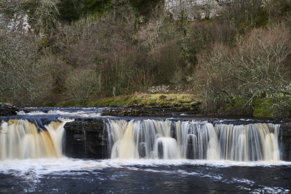 Image of Yorkshire Water