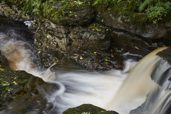 Image of Yorkshire Water