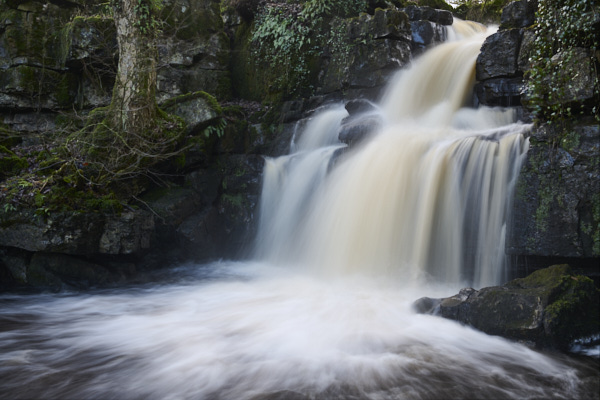 Image of Yorkshire Water
