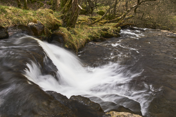 Image of Yorkshire Water