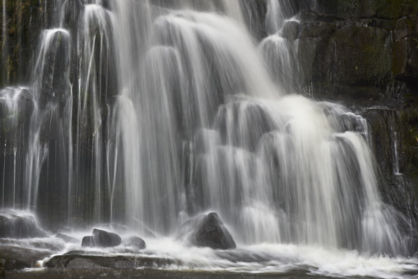 Image of Yorkshire Water